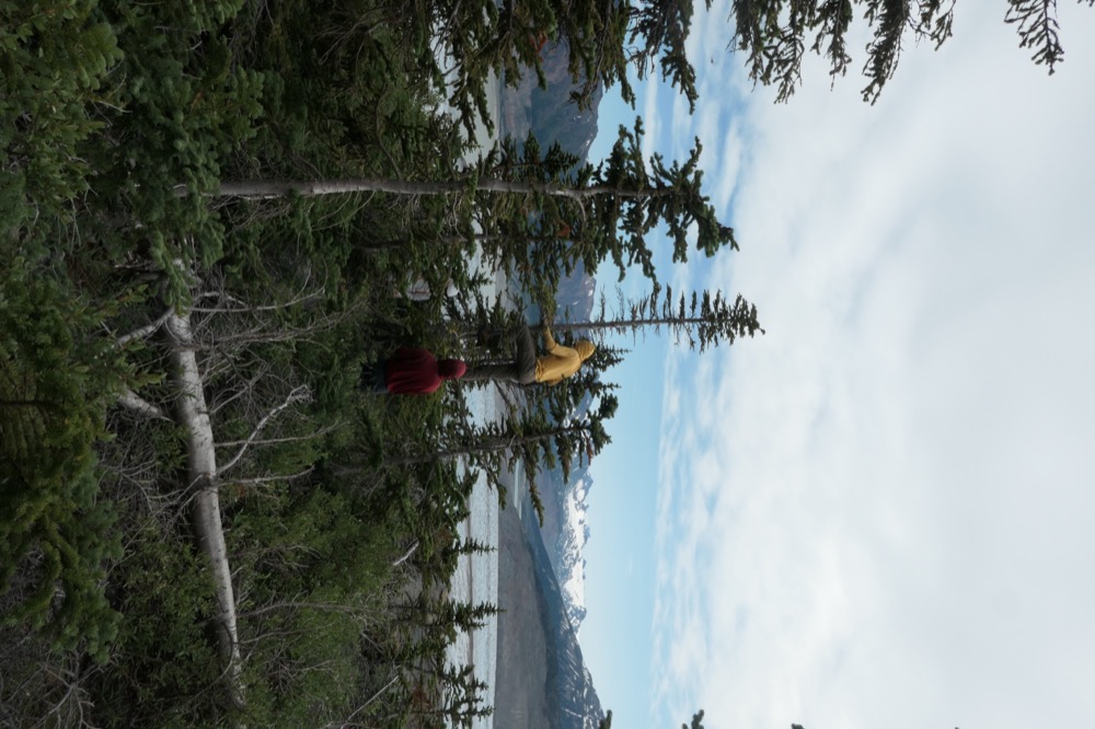 Field research in southeast Alaska